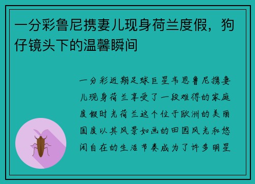 一分彩鲁尼携妻儿现身荷兰度假，狗仔镜头下的温馨瞬间
