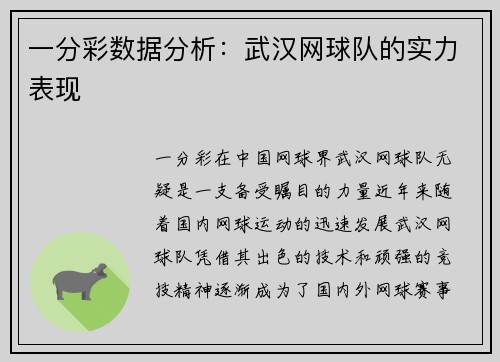一分彩数据分析：武汉网球队的实力表现
