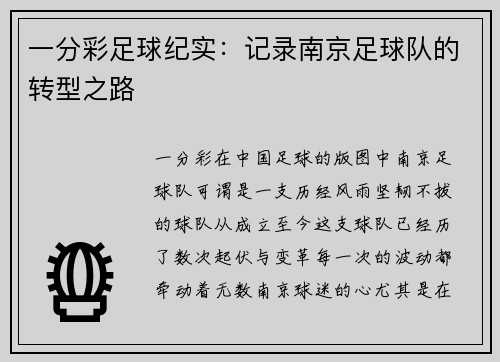 一分彩足球纪实：记录南京足球队的转型之路